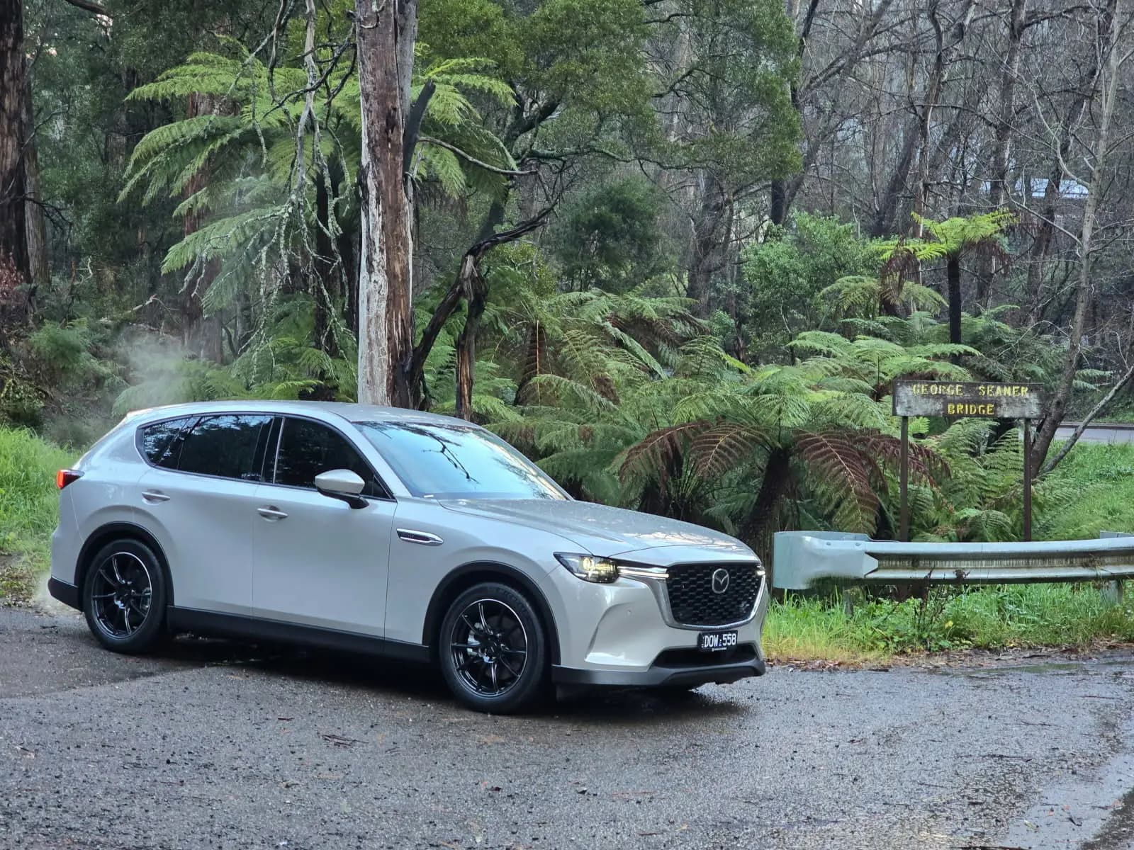 A white Mazda CX-60 parked by the tree ferns at the George Seaner Bridge in the Dandenong Ranges, the platform Ringwood Mazda offers Shockworks suspension on
