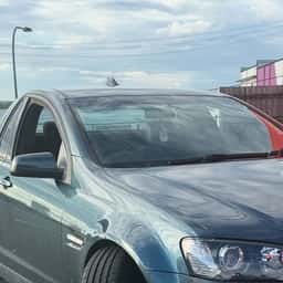 @lukefink: Moves are being made on my ss Ute!! The @shockworks_suspension has transformed it from a t