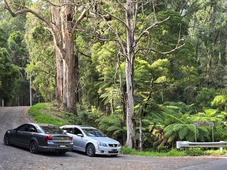 Basing off averages, it's a correct statement to say luxury Holden's are generally fitted with at least one turbo.